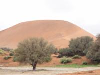 Sossuvlei